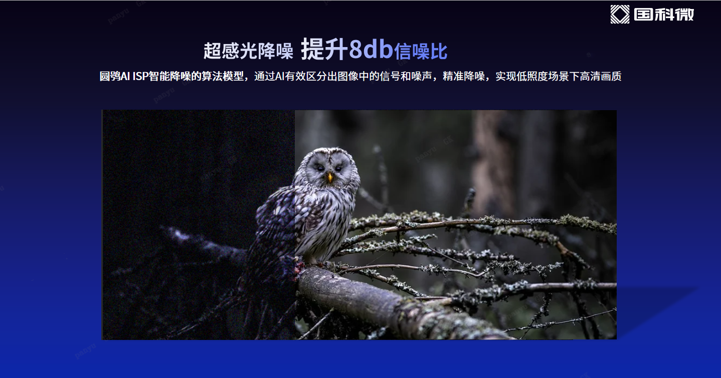 澳门赌霸必中八马