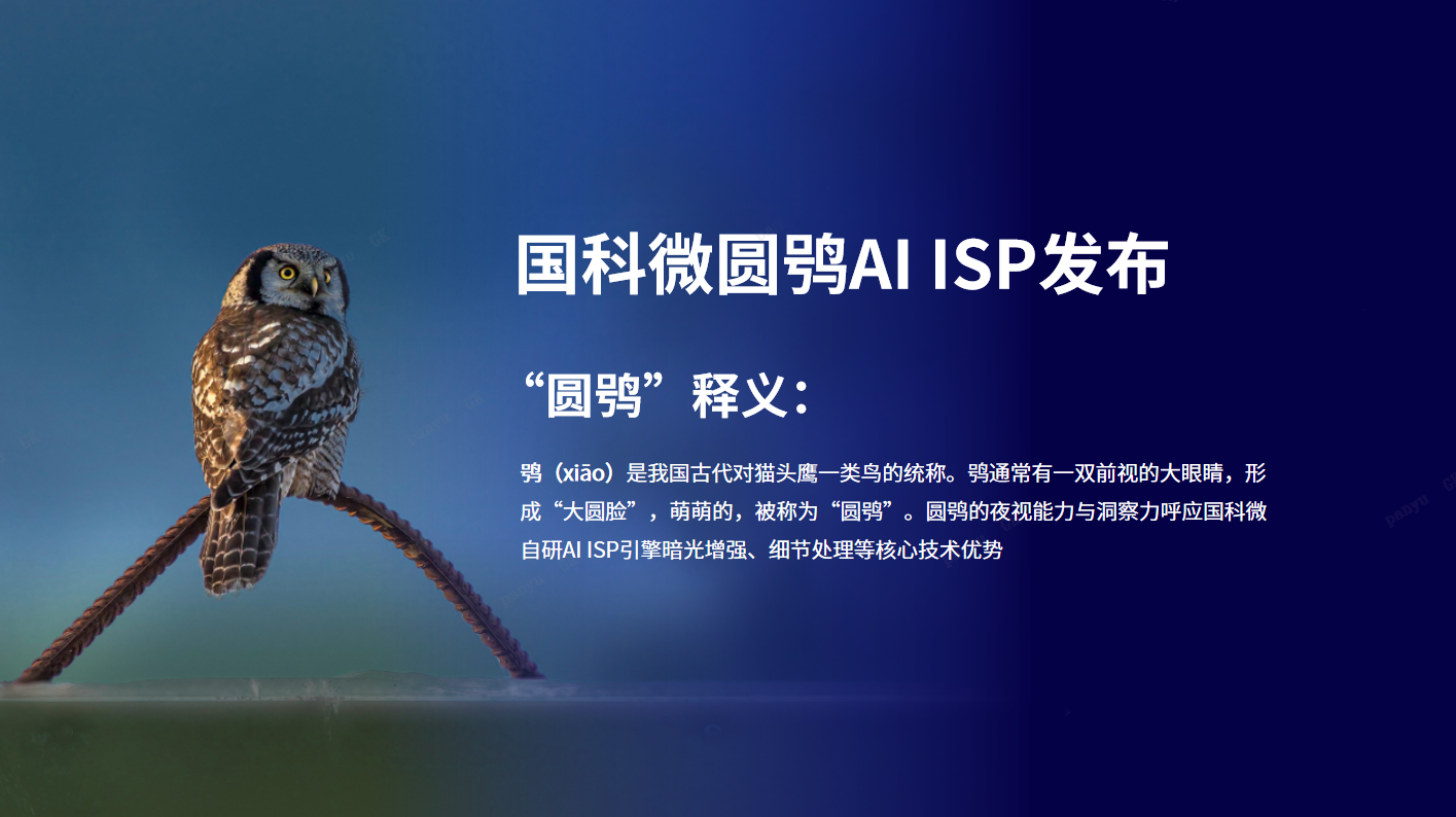 澳门赌霸必中八马